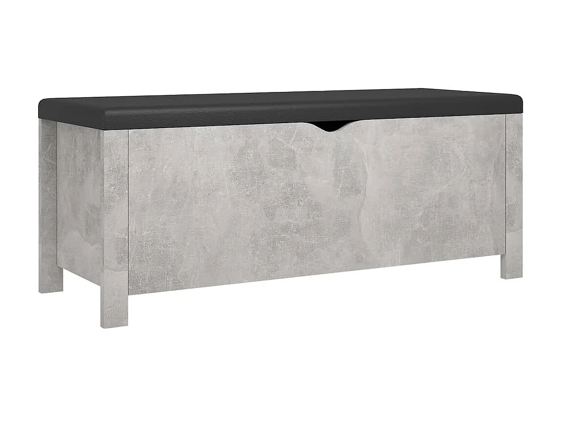 Boîte de rangement et coussin Gris béton 105x40x45