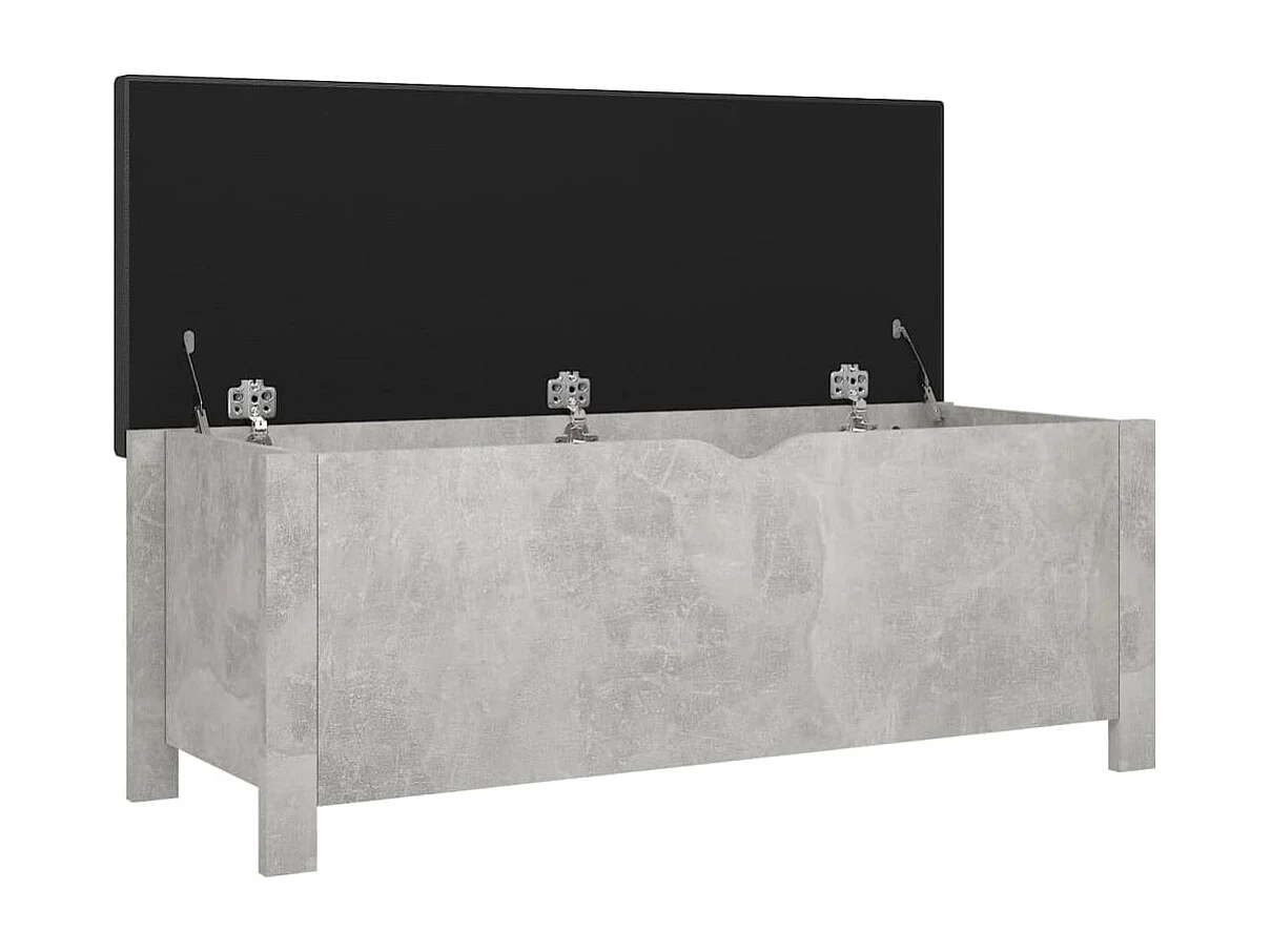 Boîte de rangement et coussin Gris béton 105x40x45