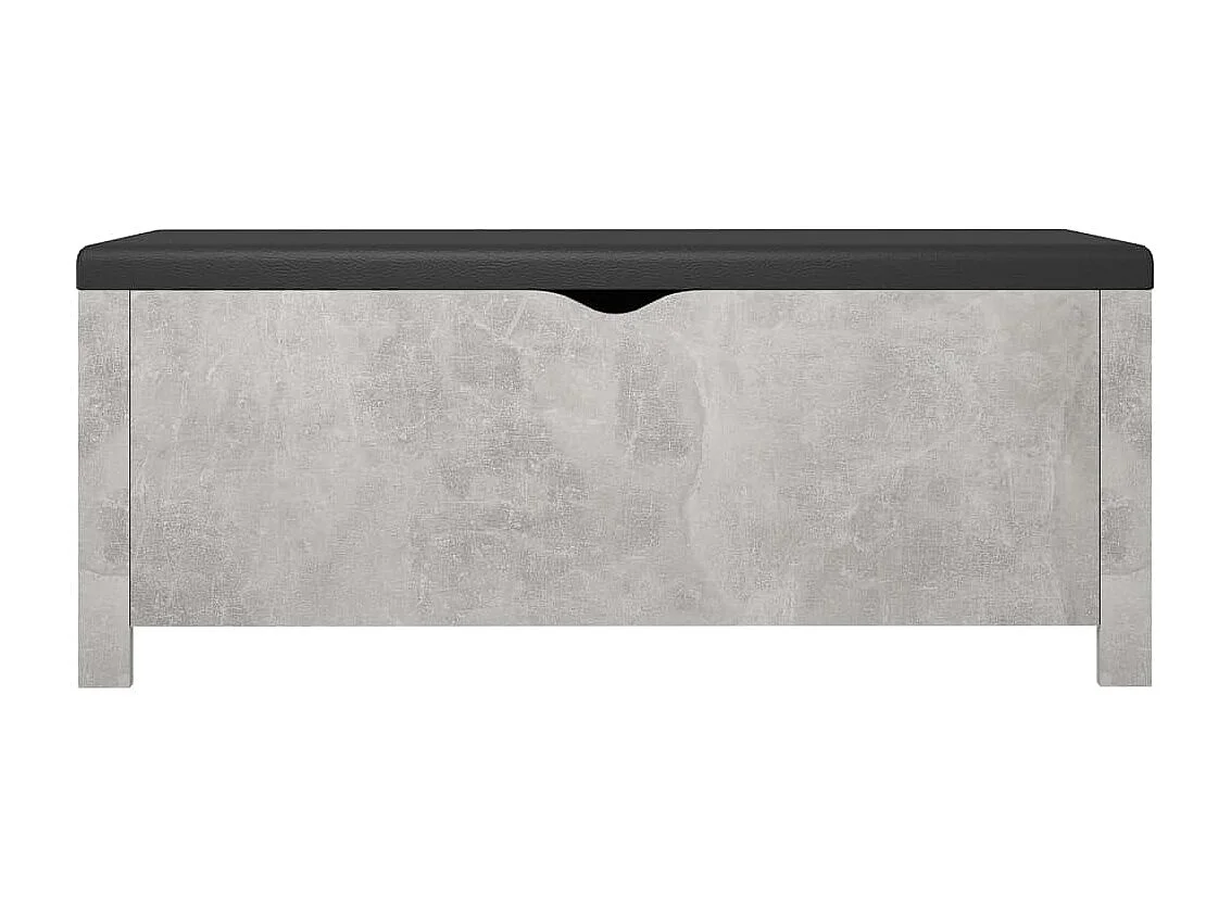 Boîte de rangement et coussin Gris béton 105x40x45