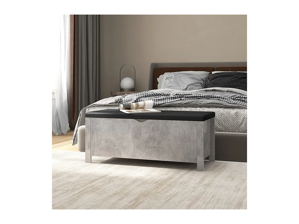 Boîte de rangement et coussin Gris béton 105x40x45