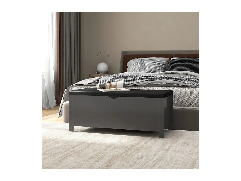 Boîte de rangement avec coussin Gris 105x40x45