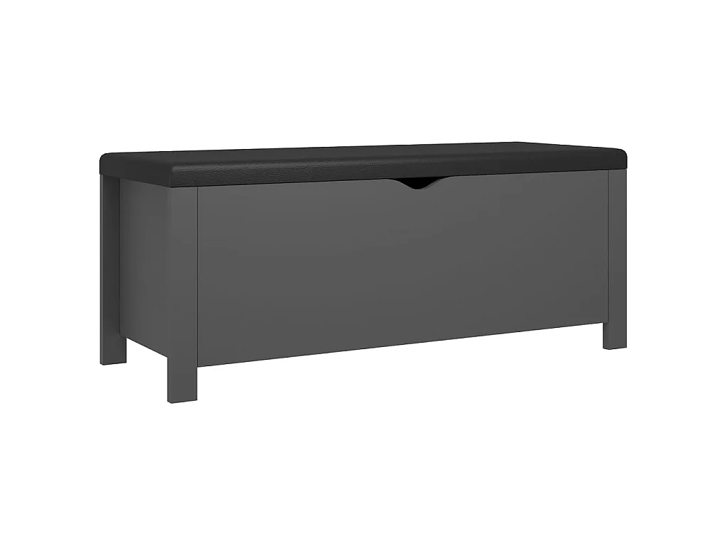 Boîte de rangement avec coussin Gris 105x40x45