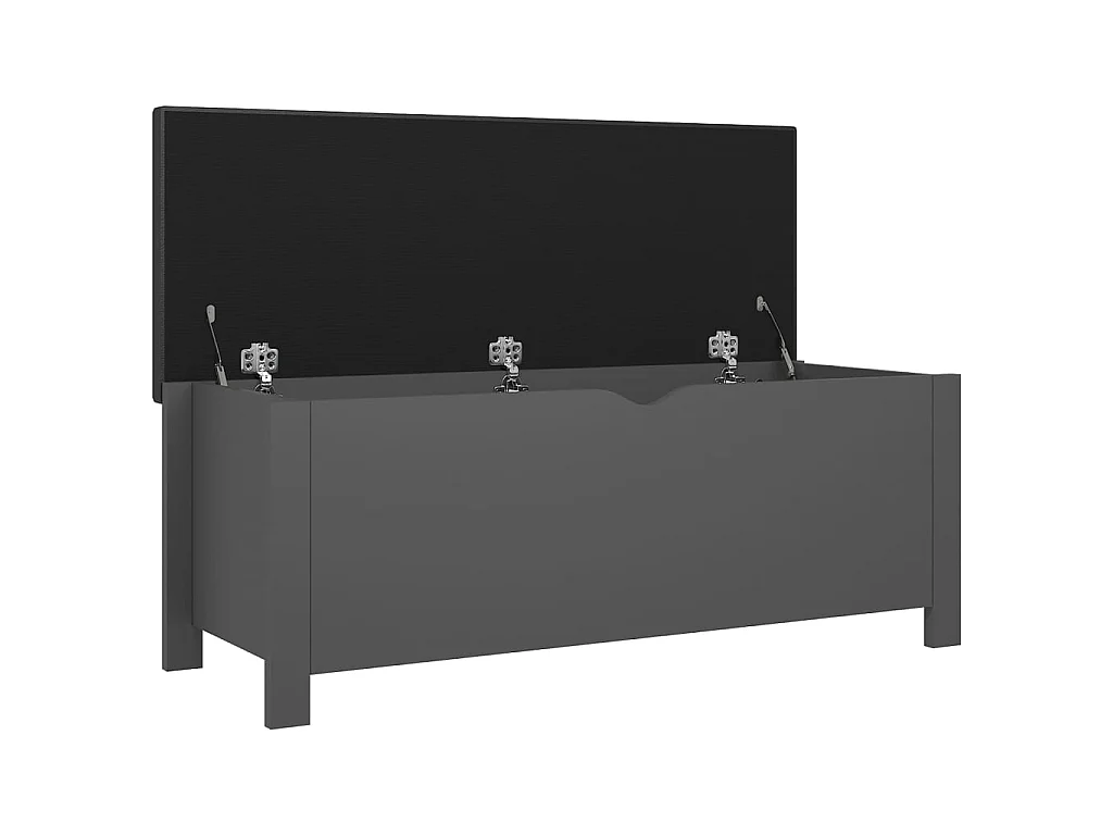 Boîte de rangement avec coussin Gris 105x40x45