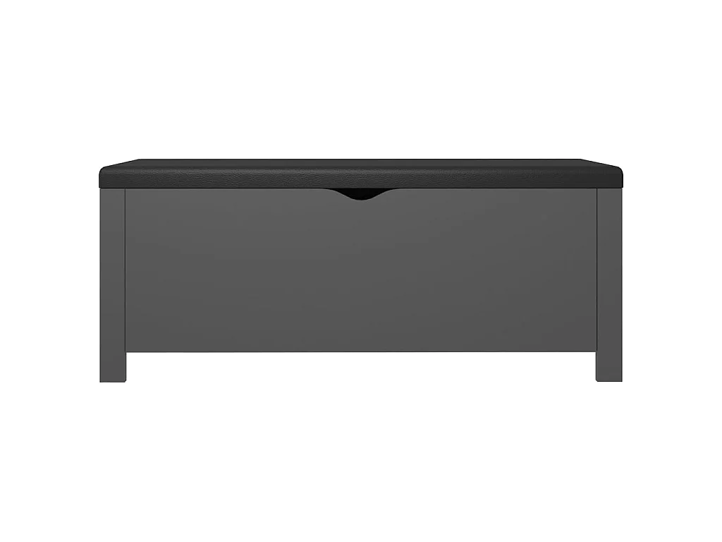 Boîte de rangement avec coussin Gris 105x40x45