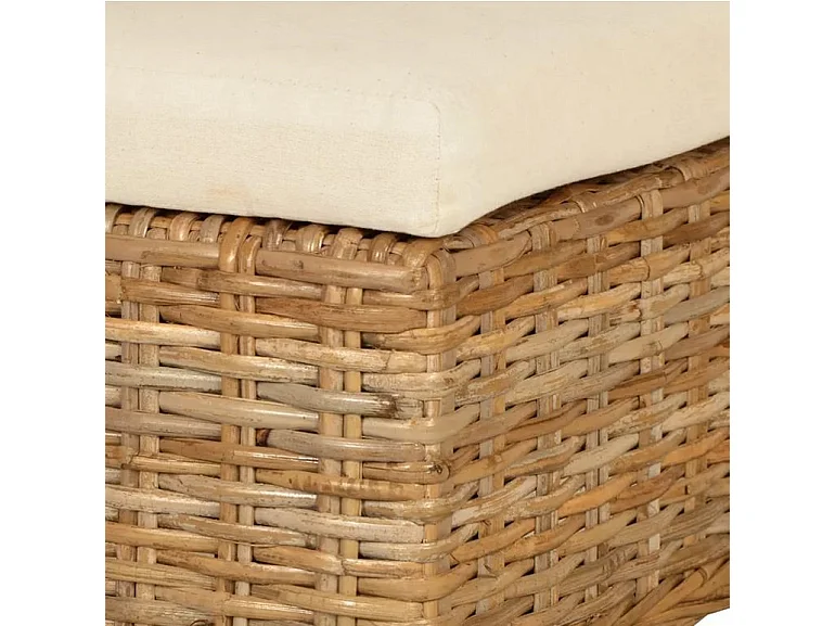 Chaise rotin avec coussin et pieds manguier Kaleb - Lot de 4