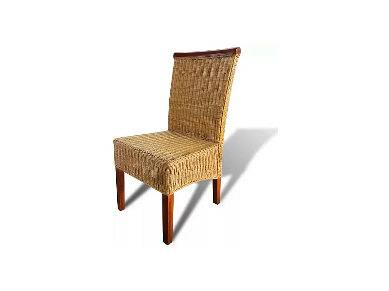 Chaise rotin clair et pieds manguier massif Kaleb - Lot de 2