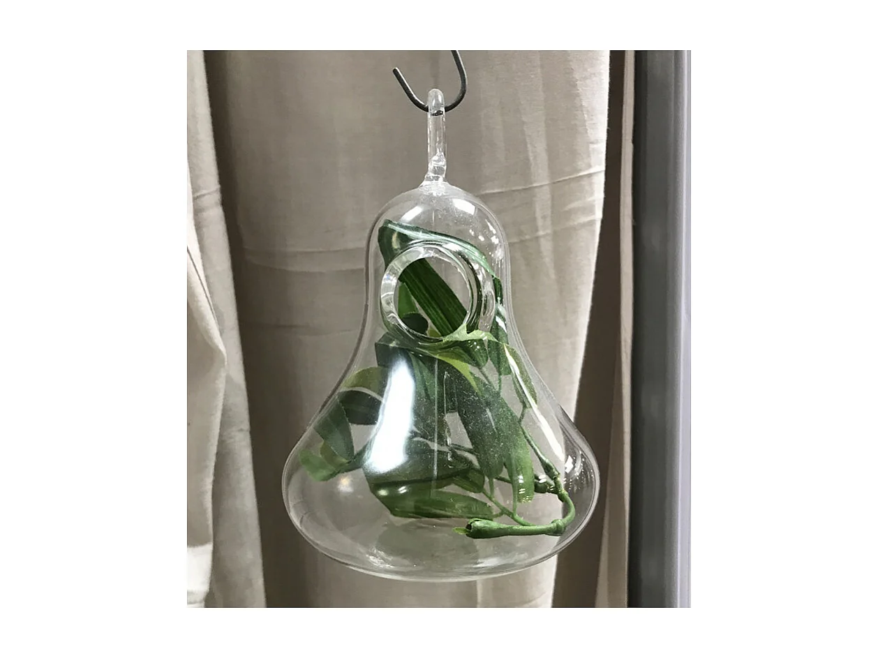 Lot de 2 vases à suspendre terrarium verre transparent - GLASSSBOX