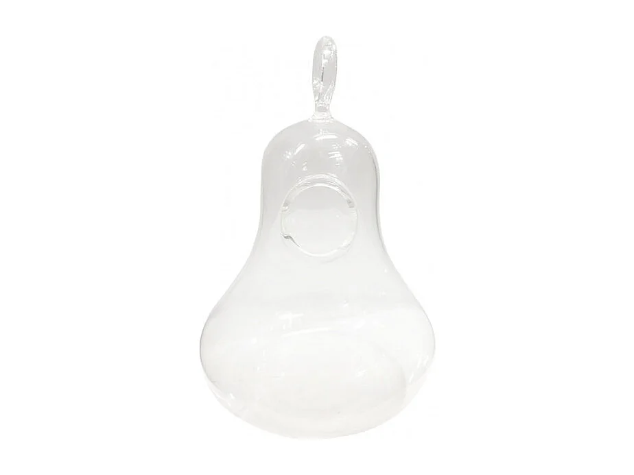 Lot de 2 vases à suspendre terrarium verre transparent - GLASSSBOX