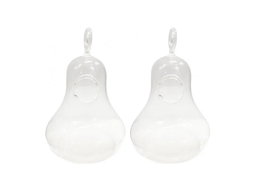 Lot de 2 vases à suspendre terrarium verre transparent - GLASSSBOX