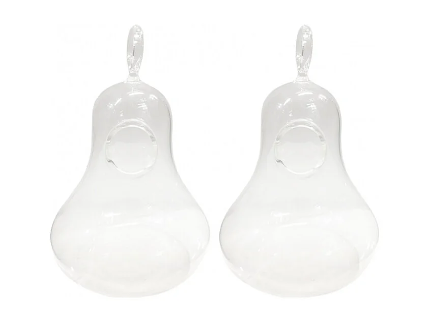 Lot de 2 vases à suspendre terrarium verre transparent - GLASSSBOX