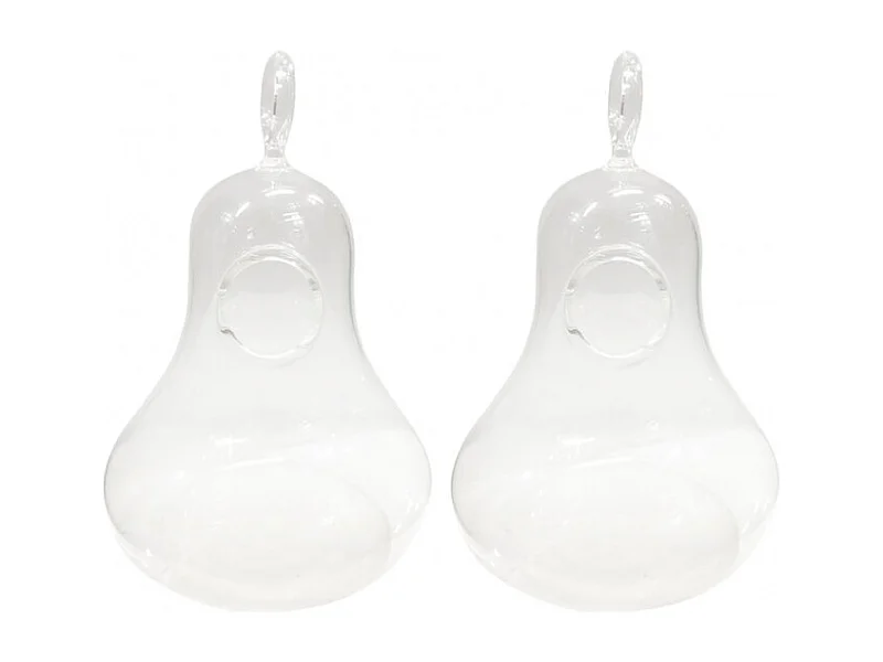 Lot de 2 vases à suspendre terrarium verre transparent - GLASSSBOX