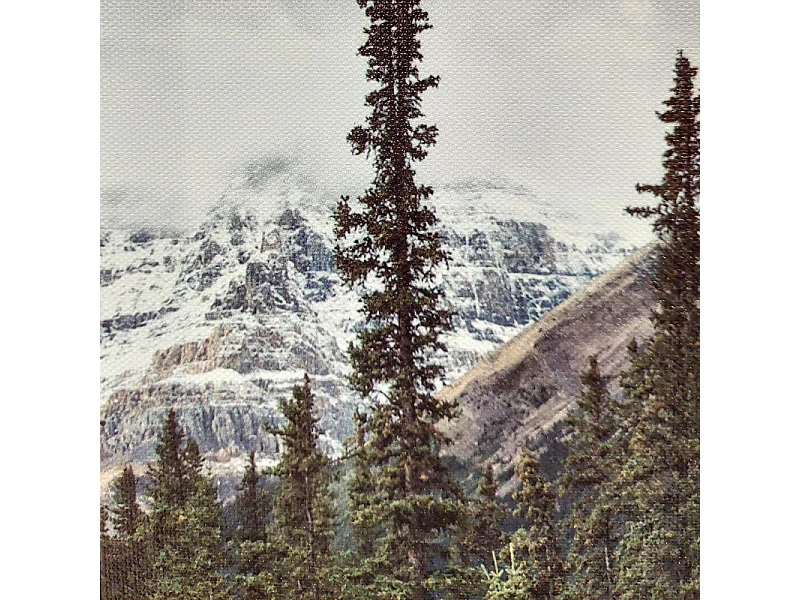 Tableau imprimé combi vert sur cadre en bois noir 30x40 cm - WILD