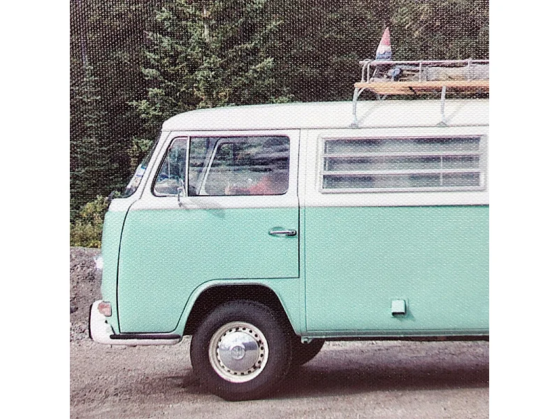 Tableau imprimé combi vert sur cadre en bois noir 30x40 cm - WILD