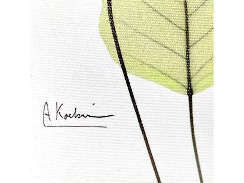 Tableau dessin feuilles sur cadre en bois noir 40x40 cm - LEAF