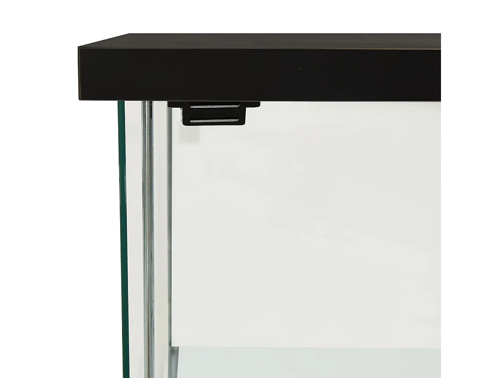 Armoire de rangement Verre trempé Noir