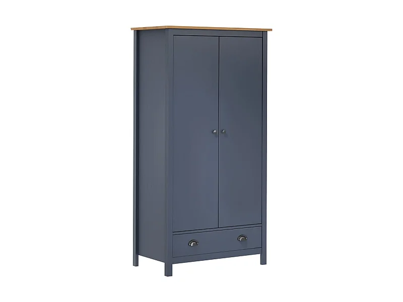 Garde-robe à 2 portes Hill Range Gris 89x50x170 Pin solide
