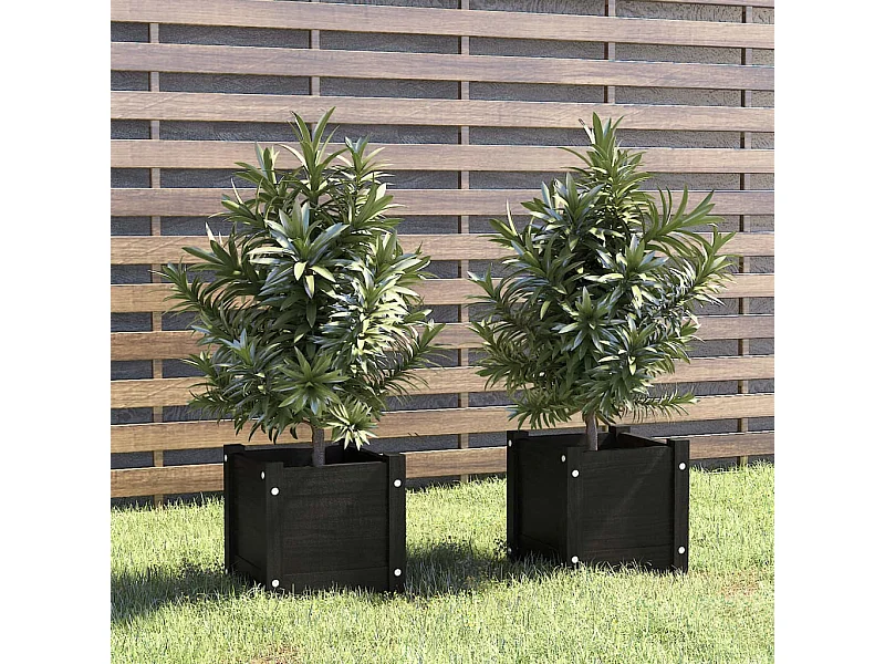 Jardinières d'extérieur 2 pcs Noir 31x31x31 Bois de pin