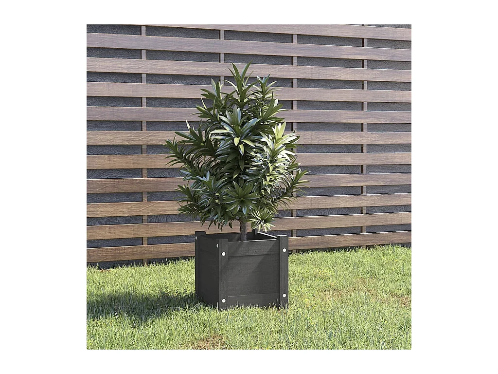Jardinière d'extérieur Gris 31x31x31 Bois de pin massif