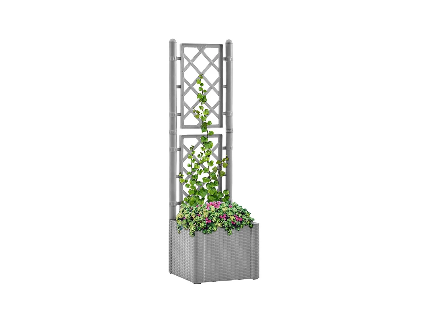 Jardinière et treillis et système d'arrosage Gris