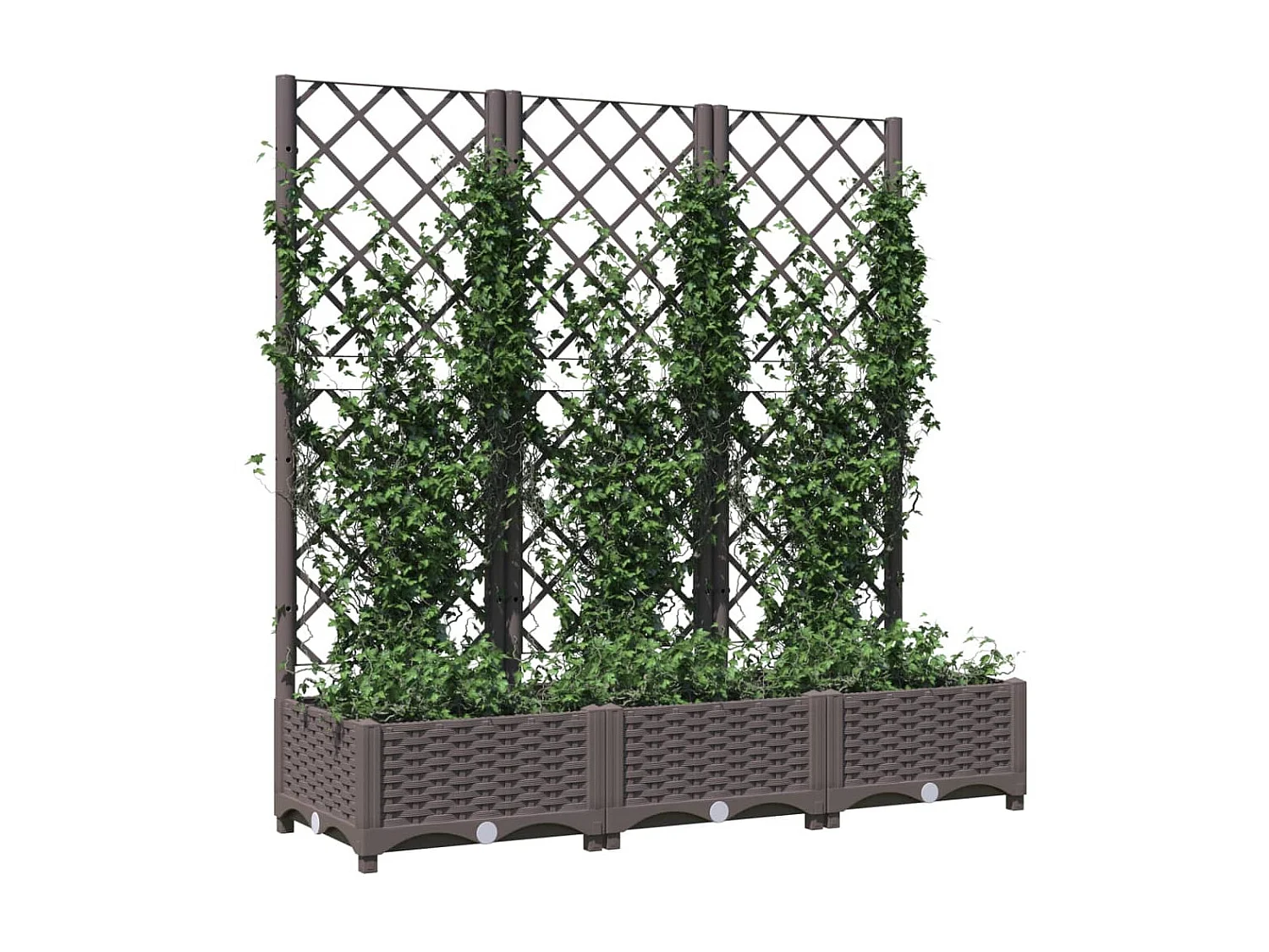 Jardinière avec treillis Marron 120x40x121,5 PP