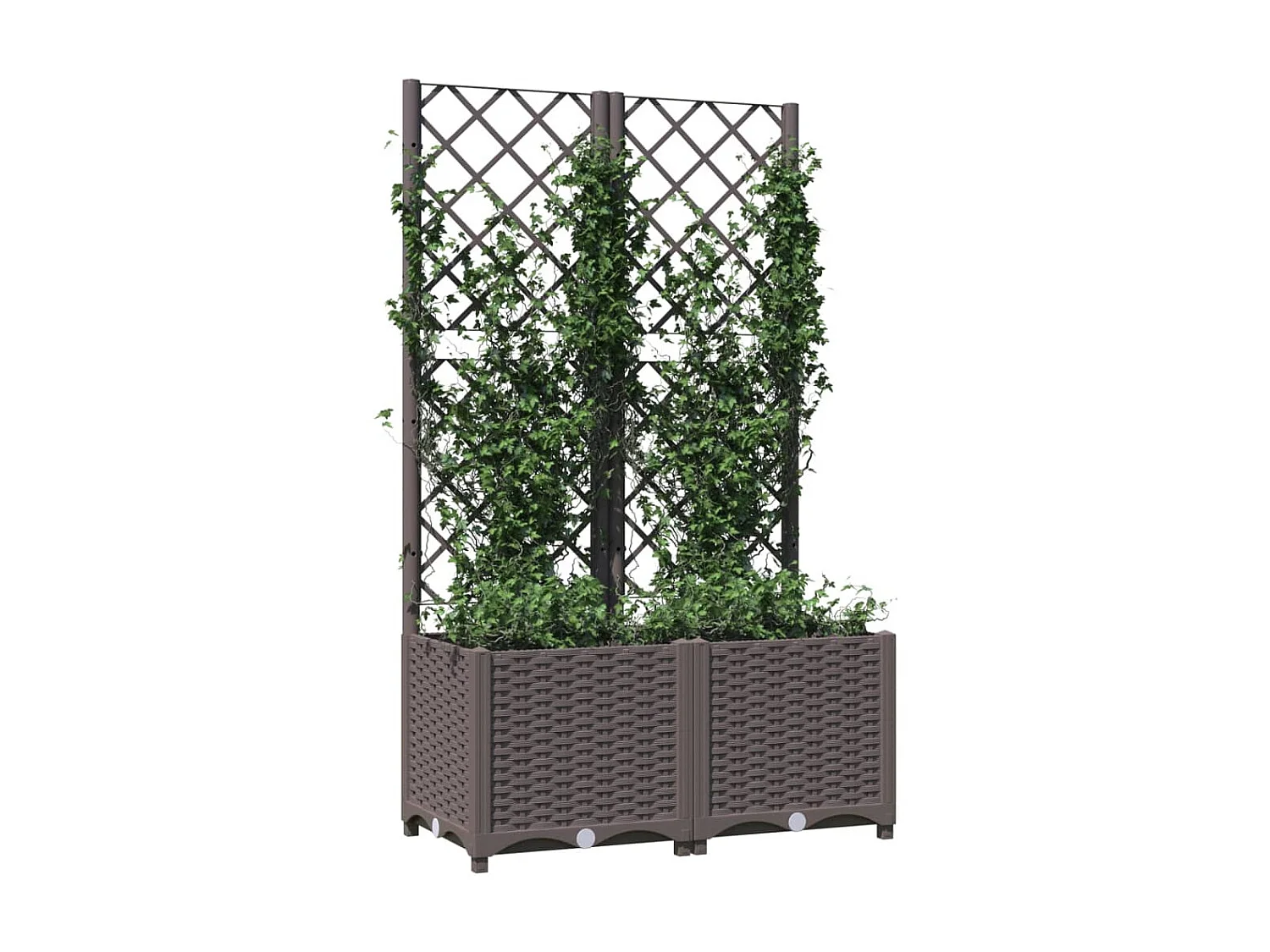 Jardinière avec treillis Marron 80x40x136 PP
