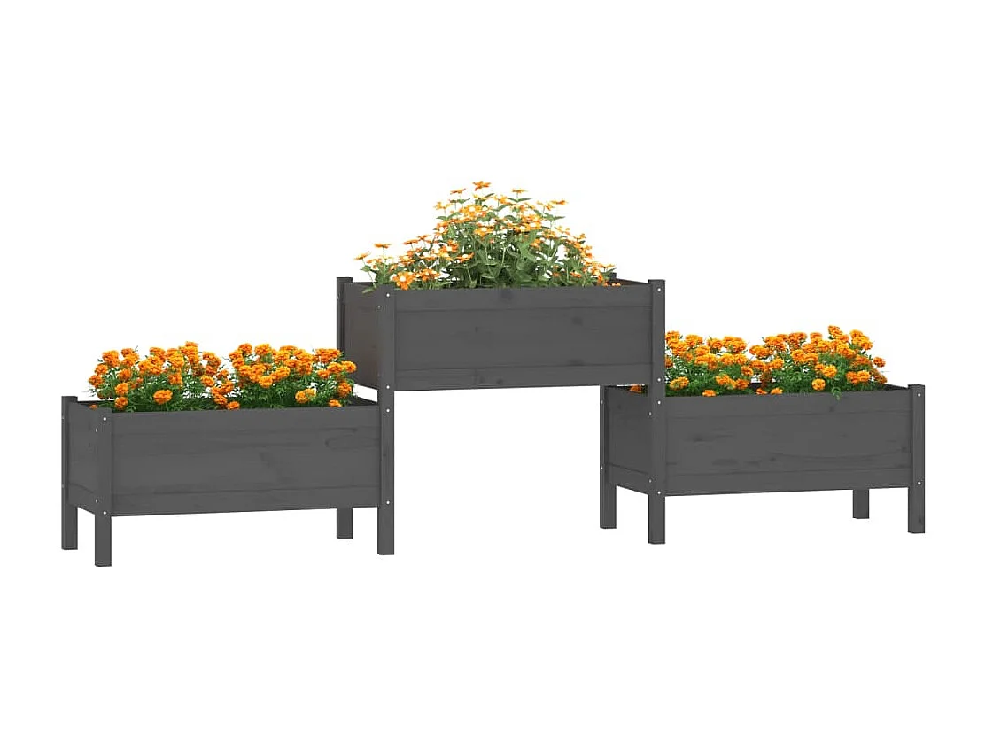 Jardinière Gris 245,5x44x75 Bois massif de pin