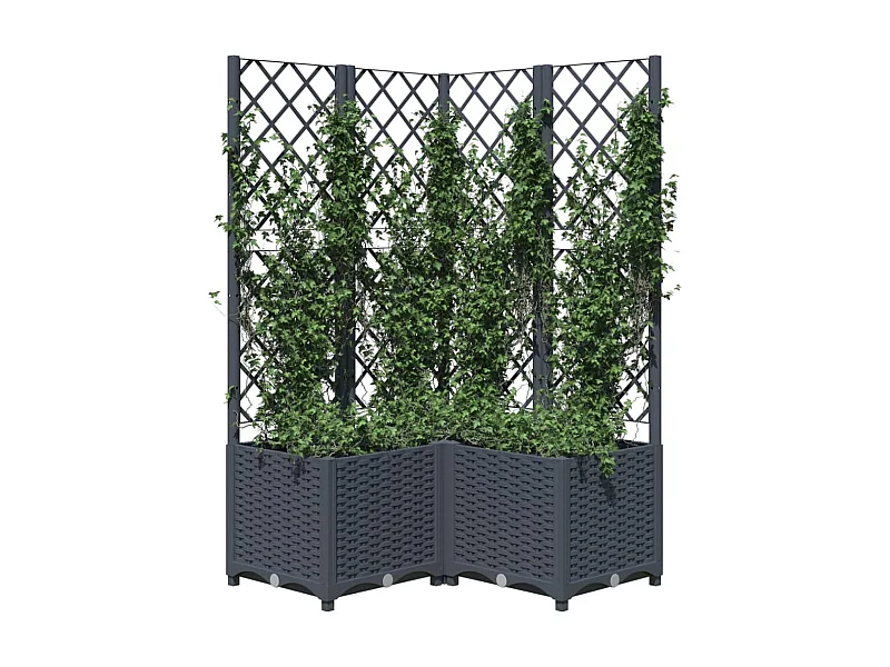 Jardinière avec treillis Gris foncé 80x80x136 PP