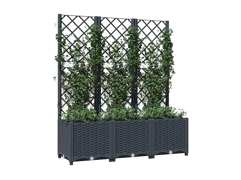 Jardinière avec treillis Gris foncé 120x40x136 PP