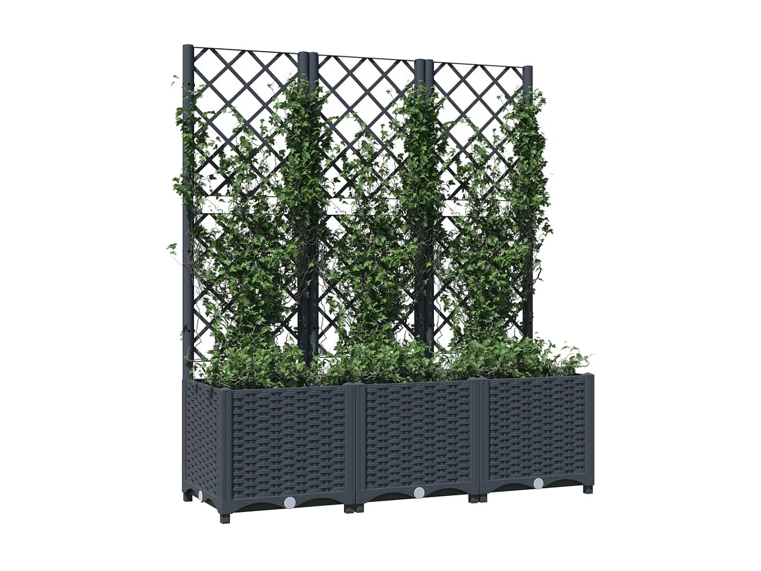 Jardinière avec treillis Gris foncé 120x40x136 PP