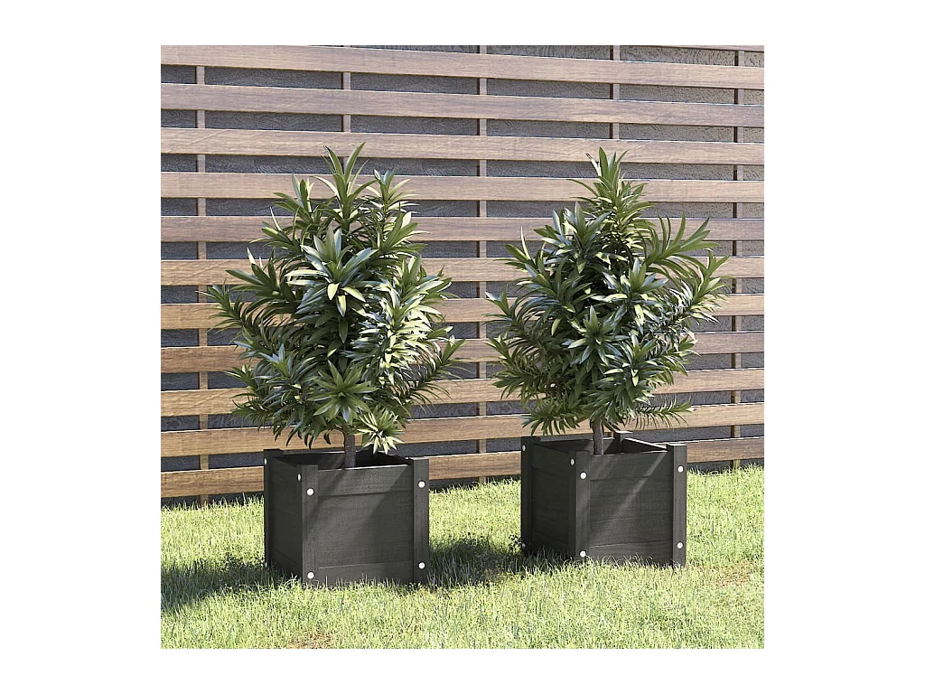 Jardinières d'extérieur 2 pcs Gris 31x31x31 Bois de pin