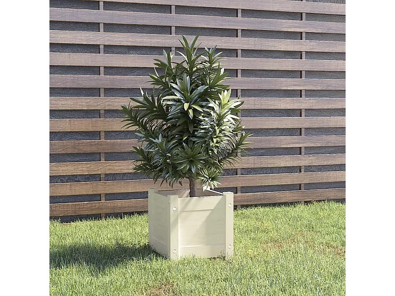 Jardinière d'extérieur Blanc 31x31x31 Bois de pin massif