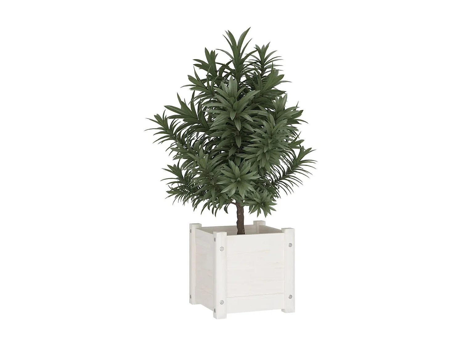 Jardinière d'extérieur Blanc 31x31x31 Bois de pin massif