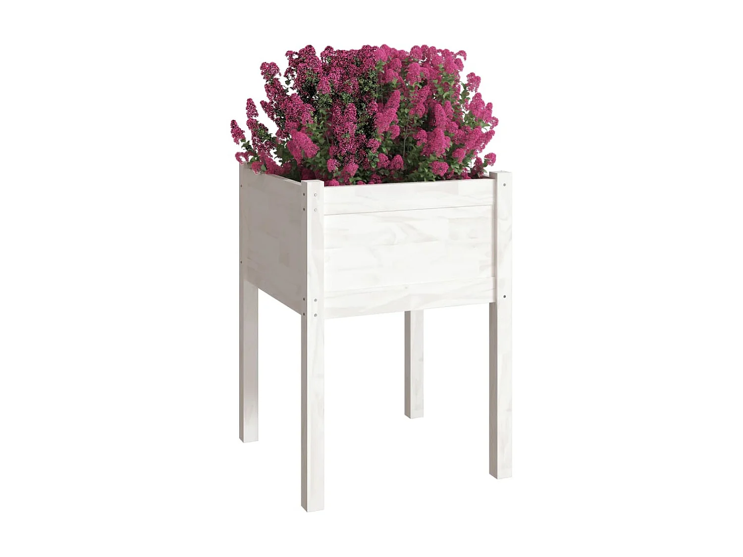 Jardinière Blanc 50x50x70 Bois de pin massif