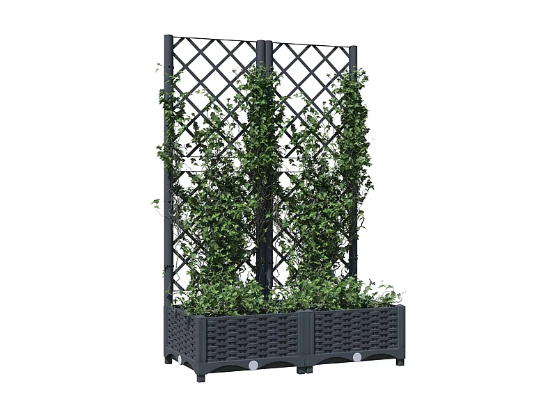 Jardinière avec treillis Gris foncé 80x40x121,5 PP