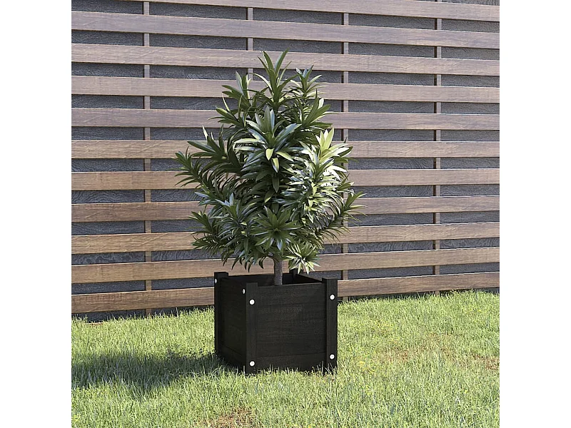 Jardinière d'extérieur Noir 31x31x31 Bois de pin massif