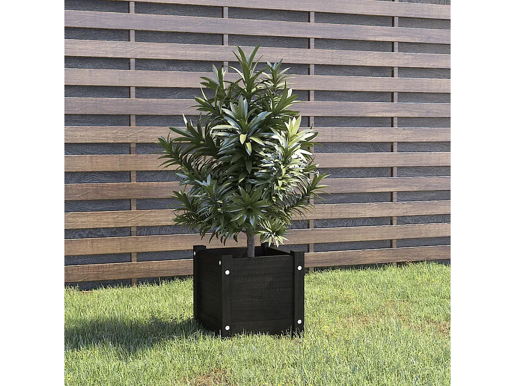 Jardinière d'extérieur Noir 31x31x31 Bois de pin massif