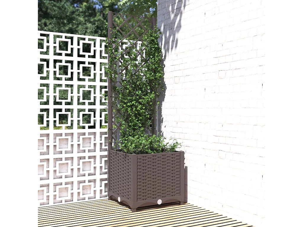 Jardinière avec treillis Marron 40x40x136 PP