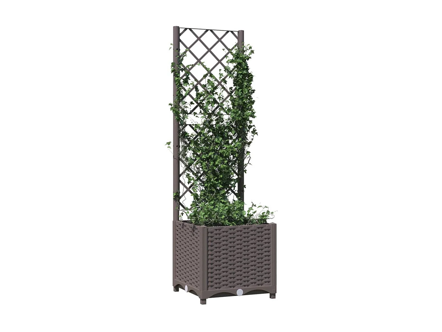 Jardinière avec treillis Marron 40x40x136 PP
