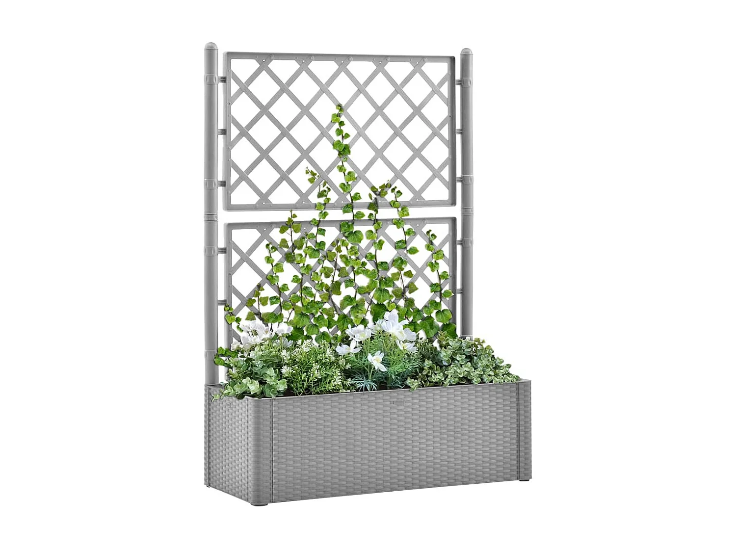 Jardinière et treillis et système d'arrosage Gris 2