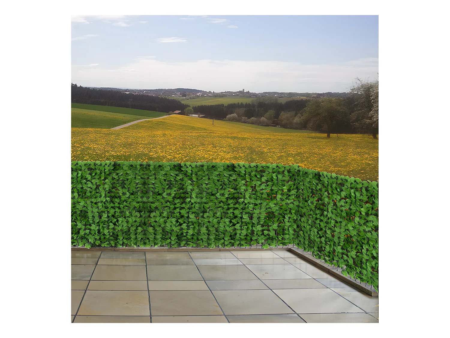 Pare-vue de balcon N77 300x150cm feuille,  500x100cm Feuille clair