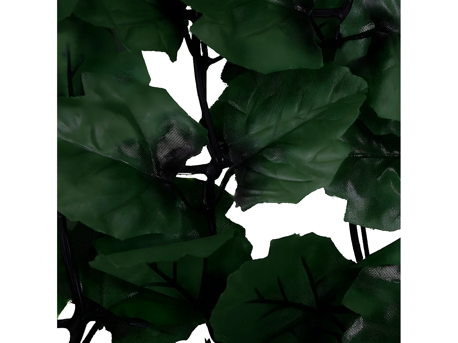 Ecrã de privacidade para varandas Folha N77 I,  300x100cm folha escura