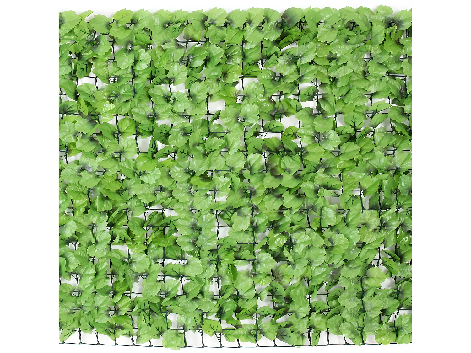 Siepe artificiale privacy balcone giardino rete decorativo N77 poliestere chiaro 300x100cm