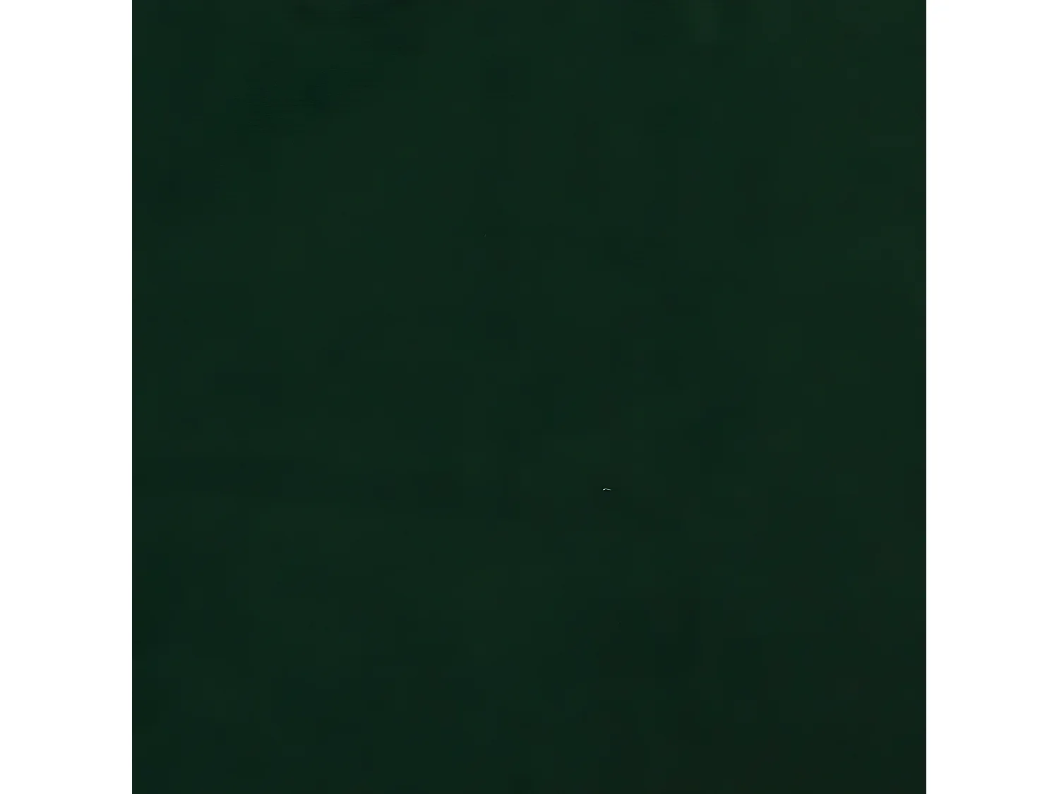 Poltrona relax Velluto verde scuro