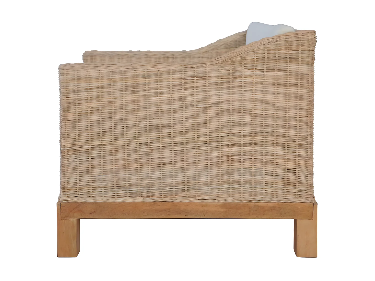 Fauteuil avec coussins Rotin naturel