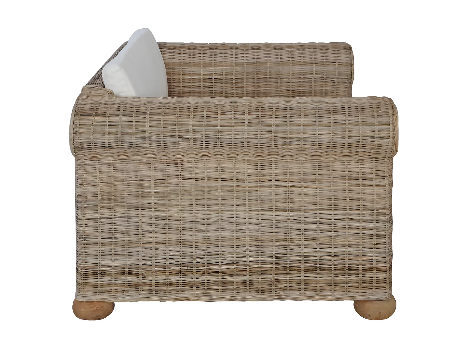 Fauteuil avec coussins Rotin naturel