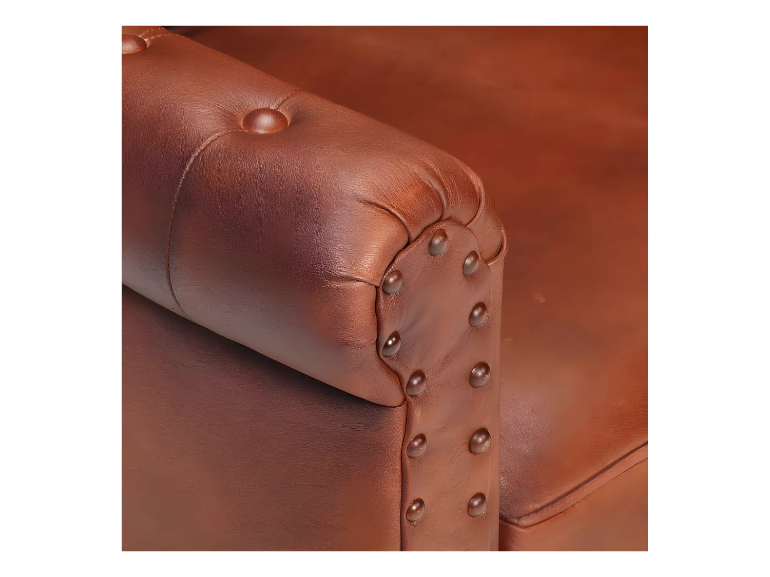 Fauteuil Marron Cuir de chèvre véritable