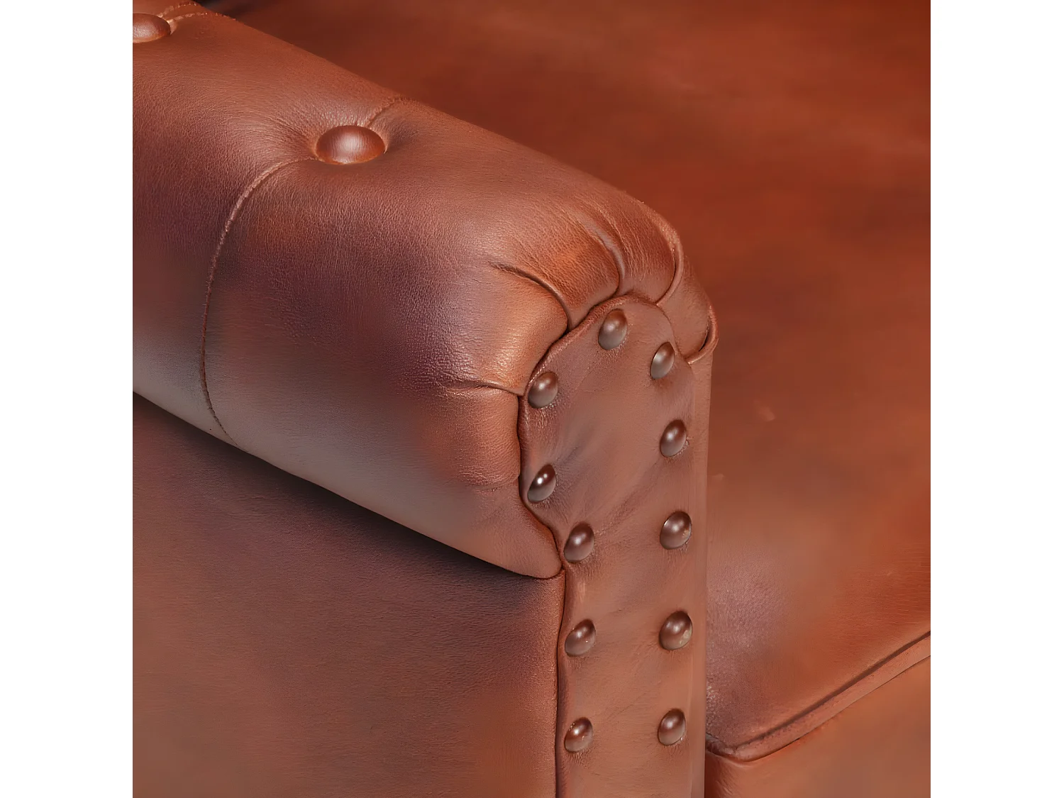 Fauteuil Marron Cuir de chèvre véritable