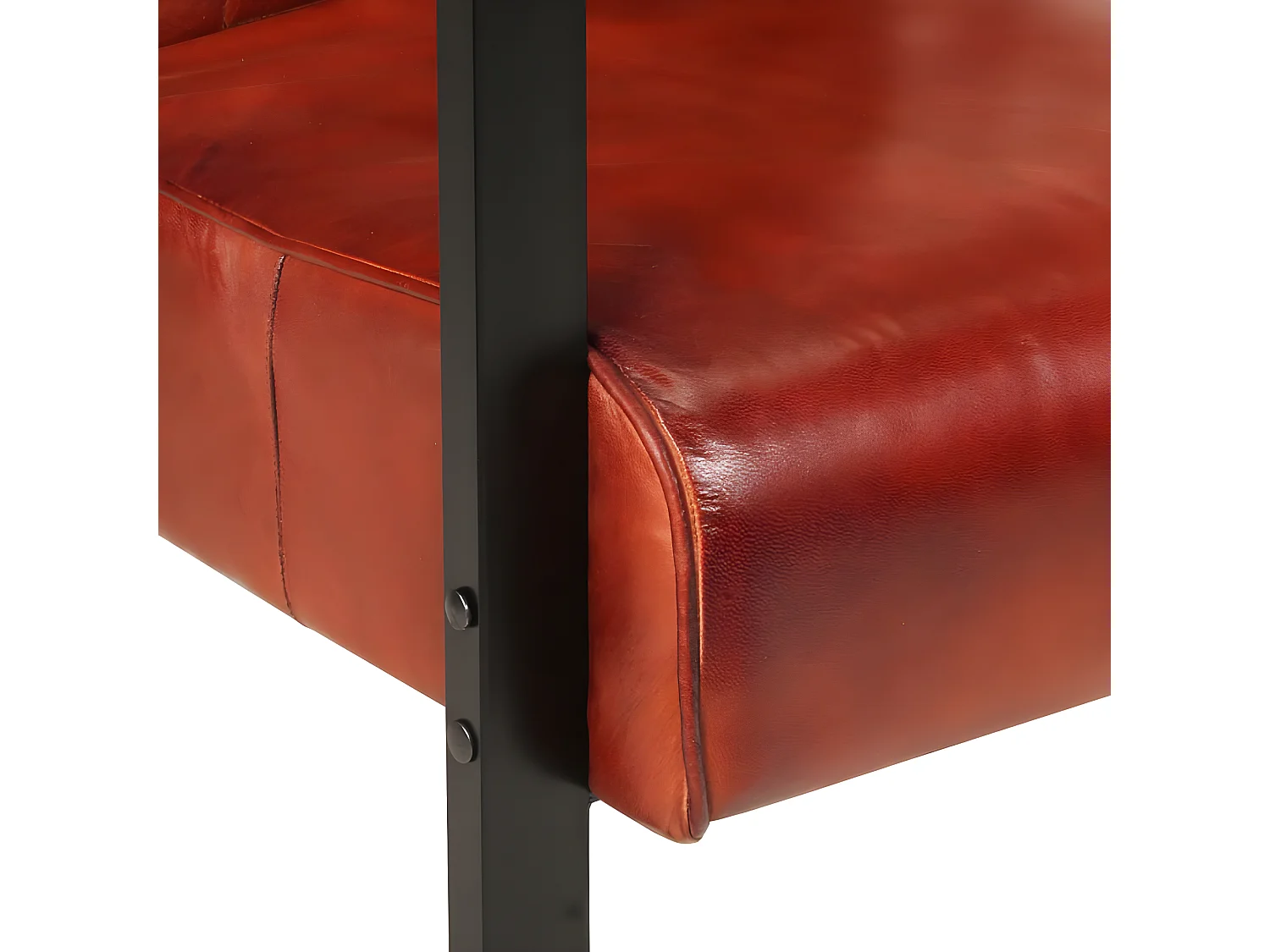 Fauteuil 60x80x87 cm Donkerbruin Echt geitenleer