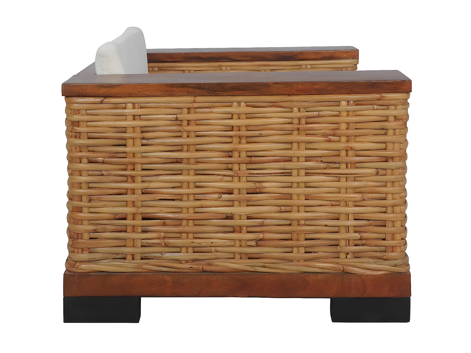 Fauteuil avec coussins Marron Rotin naturel