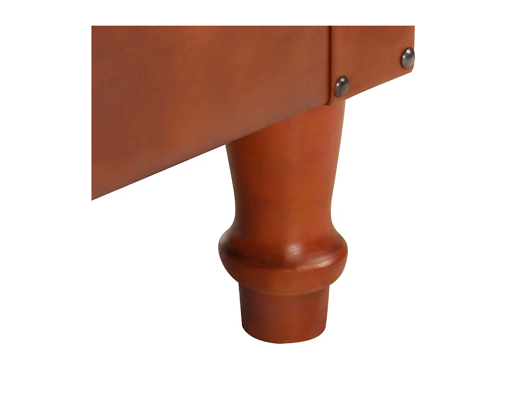 Bruin Fauteuil Echt leer en massief mangohout
